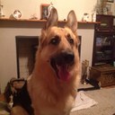 Denise Cannon - @Deecan - Twitter