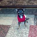 Taylor Boykin - @TheRealChubalub - Twitter