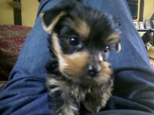 timmearing's profile picture. 