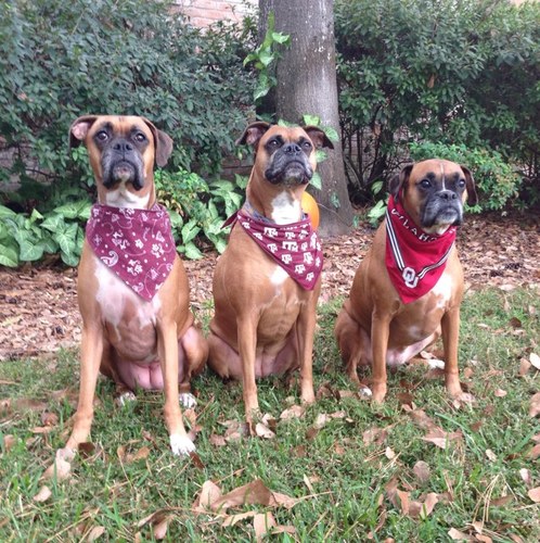 txamjlea's profile picture. 