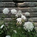 Sandy Mooney - @Sandyteaches - Twitter