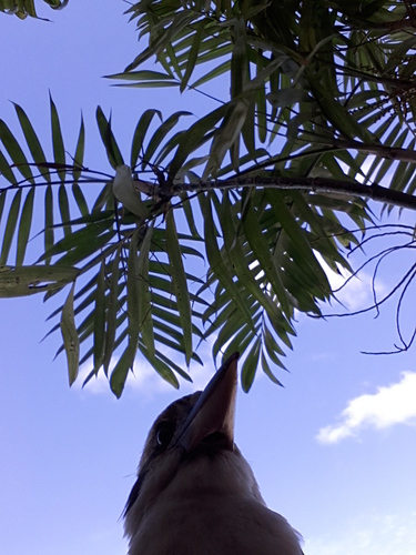 Eretzechad's profile picture. 