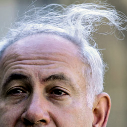 BibisCombover's profile picture. The real mastermind. Ready to lie my way out of every hairy situation