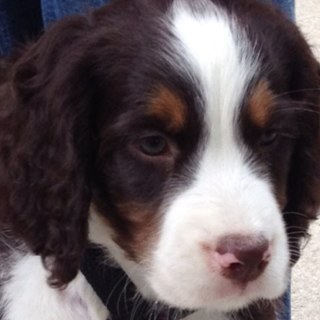 jmamatater's profile picture. 