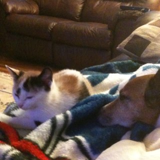 joanne15853's profile picture. 