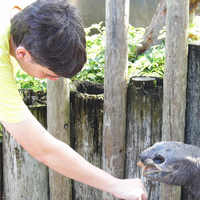 Alexander McLeester (@amcleester) 's Twitter Profile Photo