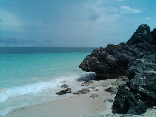 dmvsalsera's profile picture. 