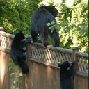 Kym McCarthy - @KymMcCarthy - Twitter