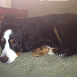 Jklein359's profile picture. 