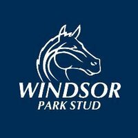 Windsor Park Stud (@windsorparkstud) 's Twitter Profile Photo Windsor Park Stud (@windsorparkstud) 's Twitter Profile Photo