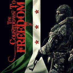 springwolf88's profile picture. 