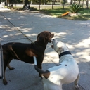 Kristopher Salas - @KSalas75 - Twitter