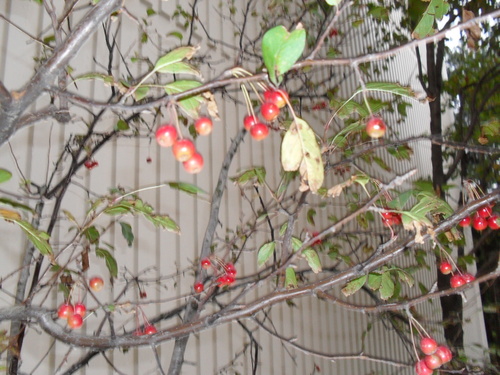 70cle's profile picture. 