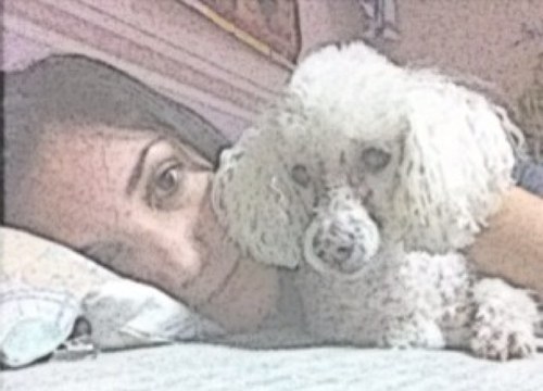 Andreita_VAF's profile picture. Soy responsable de lo que digo y no de lo que tu entiendas.. - I wanna celebrate and live my life ^_^