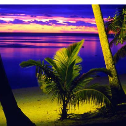 avi_snakelion's profile picture. Enjoy life to the fullest