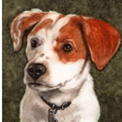 PetPortraitbyDO's profile picture. 