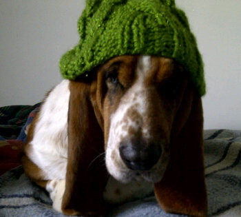 priska82's profile picture. Respeto, libertad y amor para todos los animales! ♥