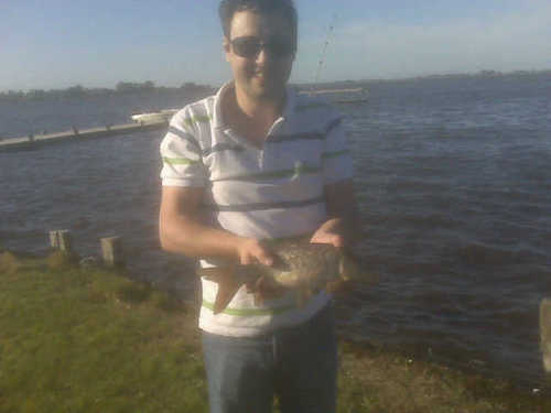 JavierCurcho's profile picture. 