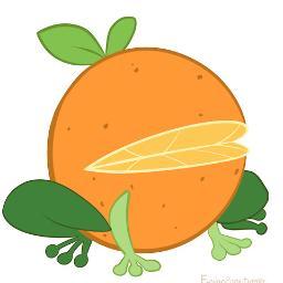 ceisenbruch Profile Picture