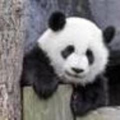 12ratna's profile picture. 