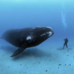 zoloksy's profile picture. 