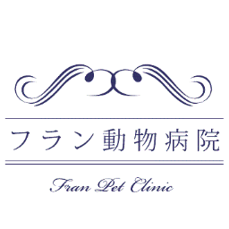 世田谷区三軒茶屋にある動物病院です。ワンちゃん、猫ちゃんの診療、トリミング、ペットホテル、ドッグトレーニングも行っています。
