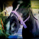 Hayley Vickers - @VickersHayley - Twitter