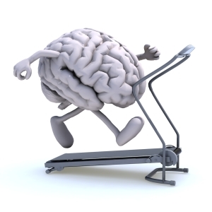 Searching for ways to build a better, faster, more resilient brain.