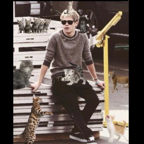One time I hung out with the boys and then hugged niall. It was amazing till i woke up