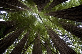 TheTrthSpkr's profile picture. 