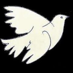 Former believer in the light on the hill. Long gone. Strong lefty leanings, though formally unaligned. Pacifist, human rights, animal rights, free Assange!