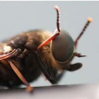 Alligin Photography (@alliginphot) 's Twitter Profile