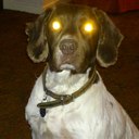 peter clemence - @pcc262 - Twitter