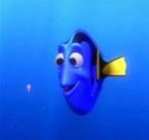 Esscapae's profile picture. I tried to make an origami swan. #epicfail