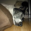 Janet Mckay - @janetpmckay - Twitter