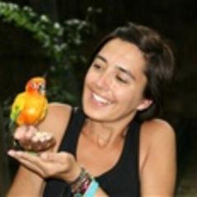 Monica Brenden Olsen Monolsen Twitter Monica Brenden Olsen Monolsen Twitter