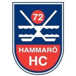 Hammarö HC A-lag