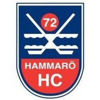 Hammarö HC A-lag (@hammaro_hc) 's Twitter Profile