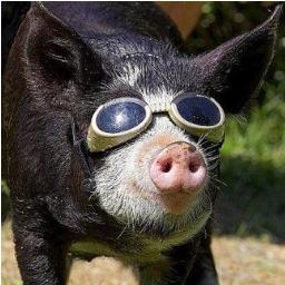 skoroedova's profile picture. Enjoy my work! Happy.