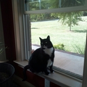 Rick Lynn - @Bandit_RickLynn - Twitter