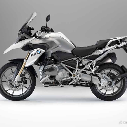 rfadmass's profile picture. 