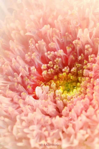 amor_fati_22's profile picture. 대한민국 서울/여성/20대