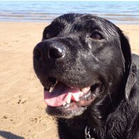 Nicky Denbow (@nickyward27) 's Twitter Profile