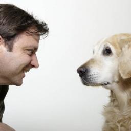 ivanshvah's profile picture. English-Mania.ru – изучение английского языка по-новому! #FOLLOWBACK #follow4follow #rufollowback #TeamFollowBack #ВЗАИМНЫЙ #ФОЛЛОВИНГ, English via skype