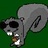 BlndSkwerl's profile image