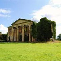 Ger_Murphy's profile picture. 