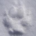 IAN HOLT-JONES - @ianhj - Twitter