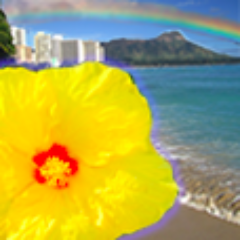 AtzApps's profile picture. A fresh new iOS App designer and full scale development firm.