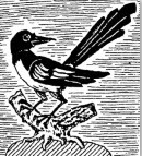 ElsterFritz's profile picture. 