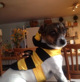 Gbutzman's profile picture. ED nurse who keeps coming back. Tragic! Would rather be out on the motorbike...